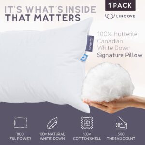 Lincove Signature 100% Natural Canadian White Down Luxury Sleeping Pillow - 800 Fill Power, 500 Thread Count Cotton Shell, Made in Canada, King - Firm, 1 Pack