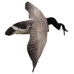 white rock decoys deck boss flying canada goose decoy flycg