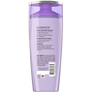 L'Oreal Paris Elvive Hyaluron Plump Hydrating Shampoo for Dehydrated, Dry Hair Infused with Hyaluronic Acid Care Complex, Paraben-Free, 12.6 Fl Oz