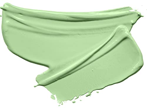 wet n wild Prime Focus Glass Skin Correct Primer Bright Crystal Finish, Green, 0.91 Fl Oz