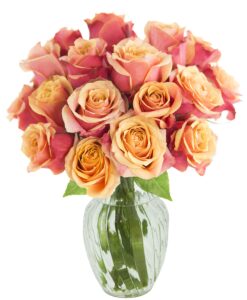 kabloom prime next day delivery - mother’s day collection - bouquet of 18 fresh orange roses with vase.gift for birthday, sympathy, anniversary, easter, mother’s day fresh flowers