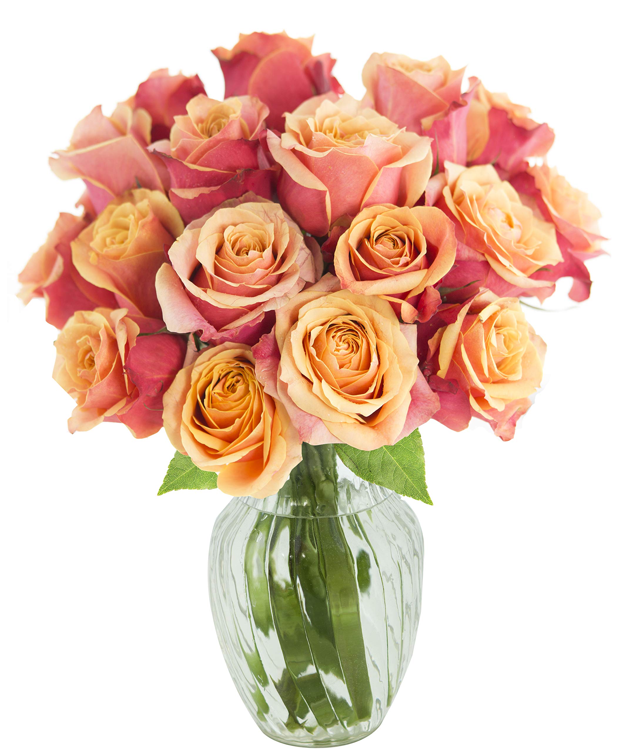 KaBloom PRIME NEXT DAY DELIVERY - Mother’s Day Collection - Bouquet of 18 Fresh Orange Roses with Vase.Gift for Birthday, Sympathy, Anniversary, Easter, Mother’s Day Fresh Flowers