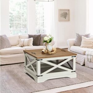 HOKYHOKY Square Coffee Table with Storage, 31.5" Farmhouse Wood Center Table with Hinged Lift Top, Industrial Coffee Table Rustic Rectangle Cocktail Table for Living Room (Distressed White)