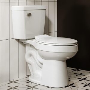 17 Inch Tall Two-Piece Elongated Toilet, ADA Extra Tall Toilets with Powerful Single Flush 1.28 GPF，12 Inch Rough in Toilet Elongated(Toilet Seat Included)