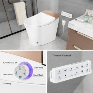 Smart Toilet Bidet Toilet Foot Sensor Flush Heated Seat Multi Function Remote Control Soft Closing Seat Smart Bidet Automatic Flushing