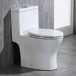 woodbridgee t-0031 short compact tiny dual flush 1.28 gp one piece toilet with soft closing seat,1000 gram map flushing score small toilet,white