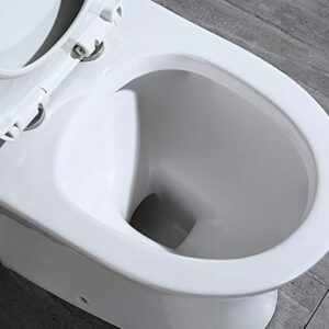 WOODBRIDGEE T-0031 Short Compact Tiny Dual Flush 1.28 GP One Piece Toilet with Soft Closing Seat,1000 Gram MaP Flushing Score Small Toilet,White