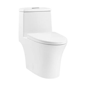 hugo one piece elongated dual flush toilet 1.1/1.6 gpf