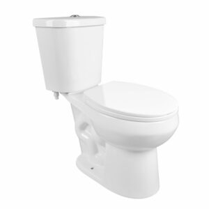 Two-Piece Toilet, DeerValley 17.72" High 12” Rough in Dual Flush 1.1/1.6 GPF and Map 1000g, ADA Chair Height Toilets Bowl With Soft Close Seat for elderly, White DV-2F0079