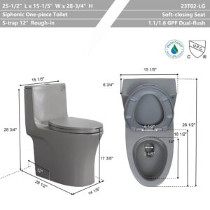 One Piece Toilet Dual Flush Elongated Standard Modern Toilet 1.1/1.6 GPF Soft Close Seat Save Water Powerful & Quiet - Gray, 27.5"D x 14"W x 28.6"H