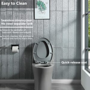 One Piece Toilet Dual Flush Elongated Standard Modern Toilet 1.1/1.6 GPF Soft Close Seat Save Water Powerful & Quiet - Gray, 27.5"D x 14"W x 28.6"H