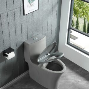 One Piece Toilet Dual Flush Elongated Standard Modern Toilet 1.1/1.6 GPF Soft Close Seat Save Water Powerful & Quiet - Gray, 27.5"D x 14"W x 28.6"H