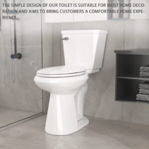 17.1” High Toilets Elongated Tall Toilet with S-trap, 12” Rough in Bathroom Toilet & 1.28 GPF Single Flush Water Tank Perfect For Seniors, Disabled & Tall Person