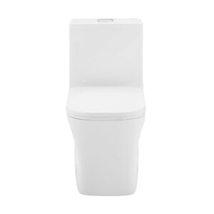 Swiss Madison Well Made Forever SM-1T278, Concorde One Piece Square Toilet Dual Flush 1.1/1.6 gpf with 10" Rough In