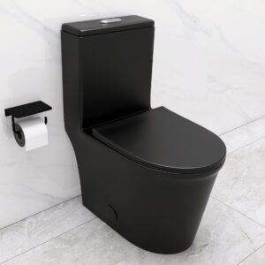 WinZo WZ5079B Compact One Piece Toilet 22.8" Depth Modern Short Design Dual Flush for Small Tiny Mini Bathroom 12" Rough-in,Matte Black