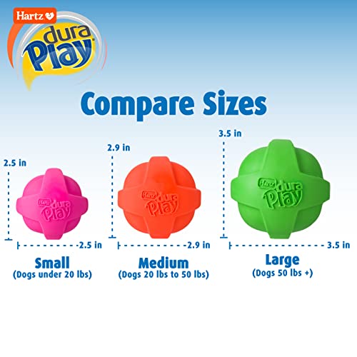 Hartz DuraPlay Ball Squeaky Latex Dog Toy, Medium 3 Pack