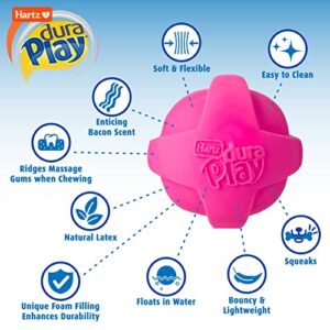 Hartz DuraPlay Ball Squeaky Latex Dog Toy, Medium 3 Pack