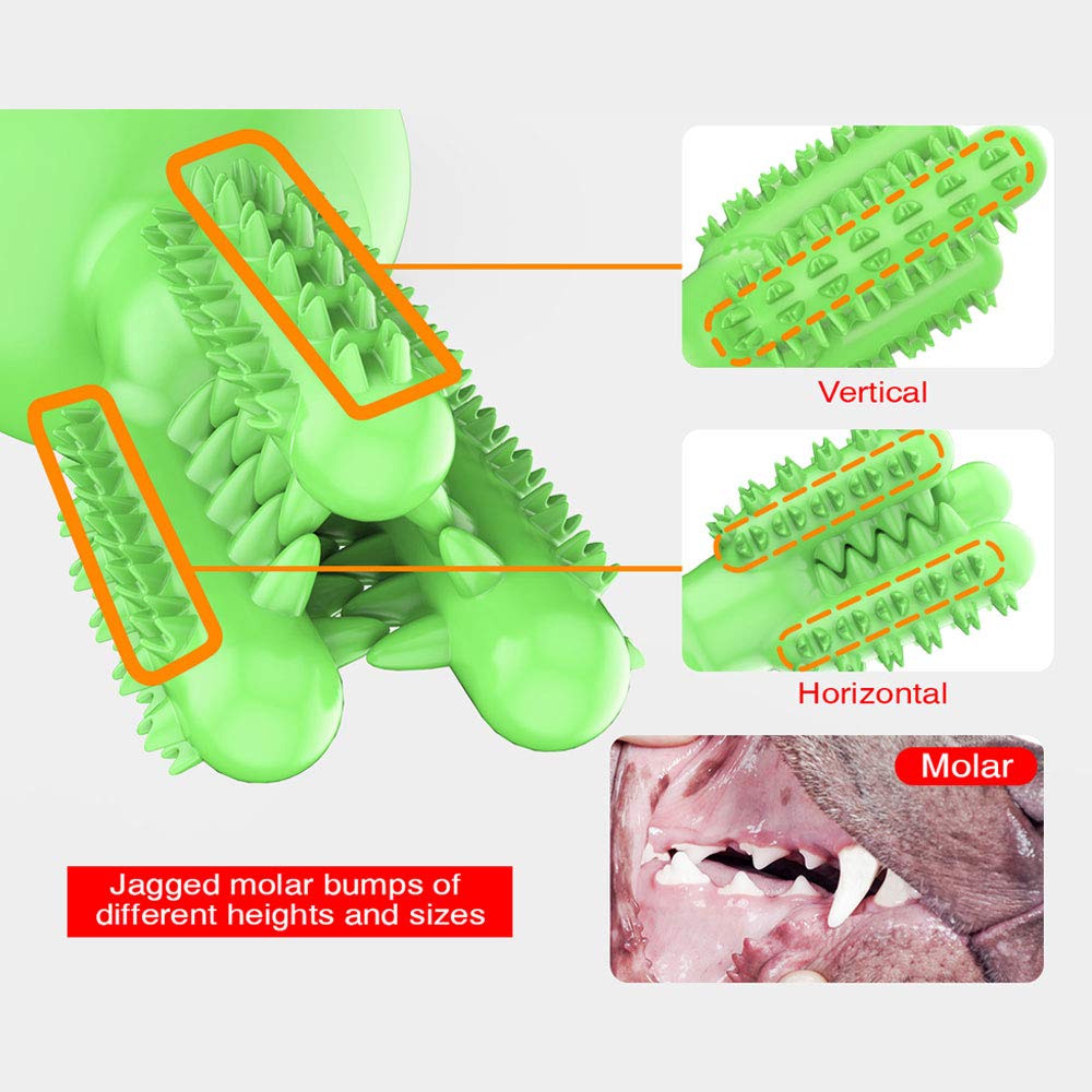 CEESC Dog Toothbrush Chew Toys Dog Teeth Cleaning Stick,Puppy Brushing Dental Oral Care for Small Medium Large Dogs (Green)