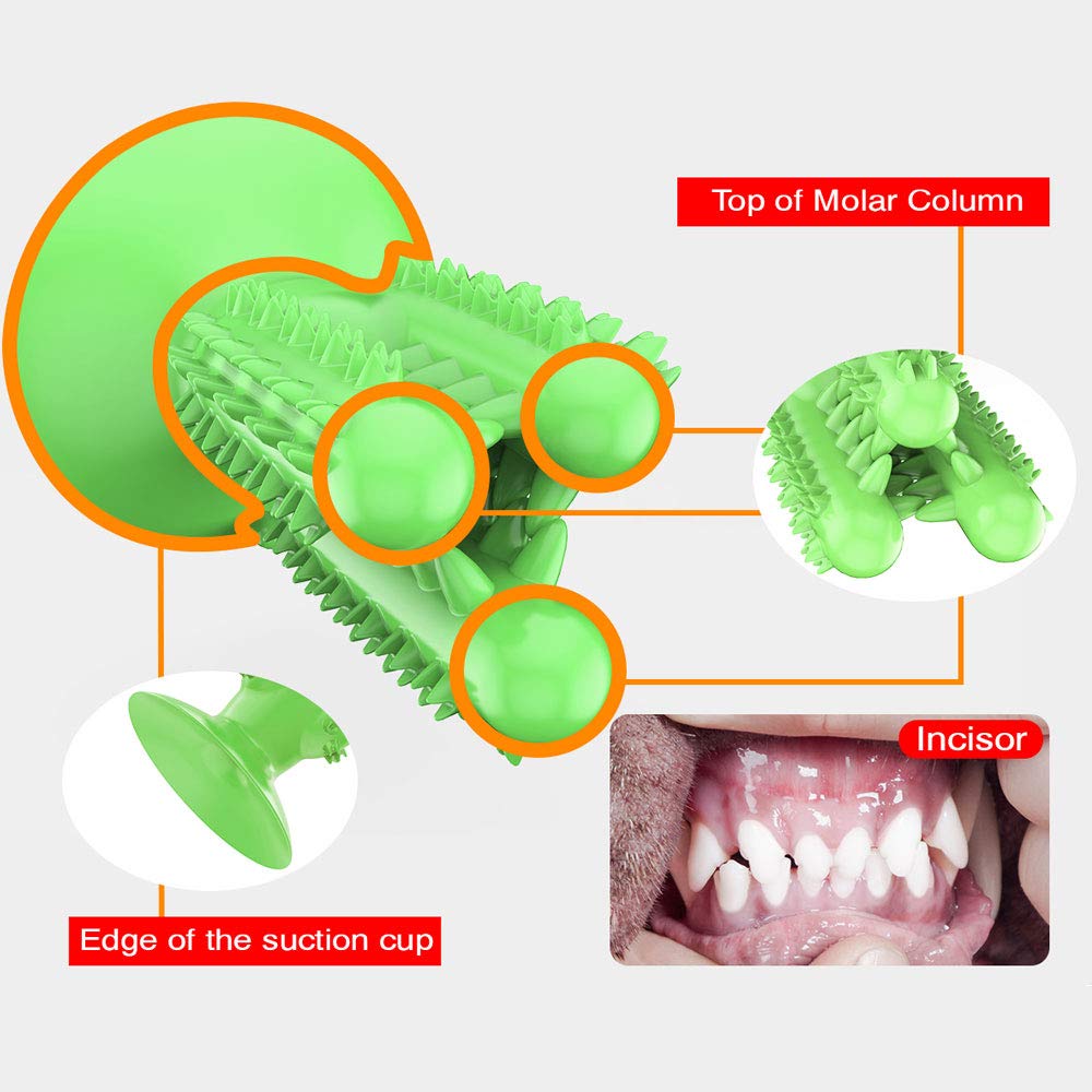 CEESC Dog Toothbrush Chew Toys Dog Teeth Cleaning Stick,Puppy Brushing Dental Oral Care for Small Medium Large Dogs (Green)