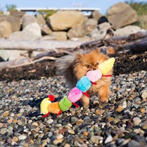 ZippyPaws - Colorful Caterpillar Dog Toy, Rainbow Dog Toy with Squeakers, Plush Dog Toys for Aggressive Chewers, Summer Dog Toys, Rainbow Dog Pride Accessories