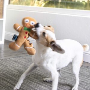 goDog Christmas Gingerbread Man Squeaky Plush Dog Toy, Chew Guard Technology - Brown, Large