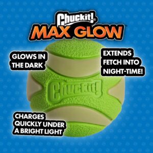 Chuckit Max Glow Paraflight Flying Disc Dog Toy, Large (9.75"), Green And White