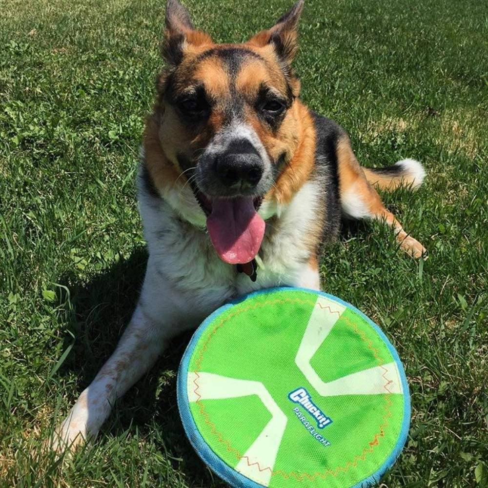 Chuckit Max Glow Paraflight Flying Disc Dog Toy, Large (9.75"), Green And White