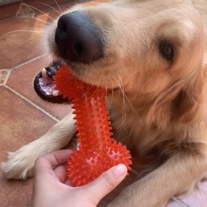 Dog Squeaky Toys Value Set Non-Toxic Dog Squeaky Balls for Dogs Toss Fetch Toys for Dogs TPR Rubber Puppy Toys Spikey Dog Chew Toys for Small Medium Dogs Pet Toys for Puppy Dog Teething Toys