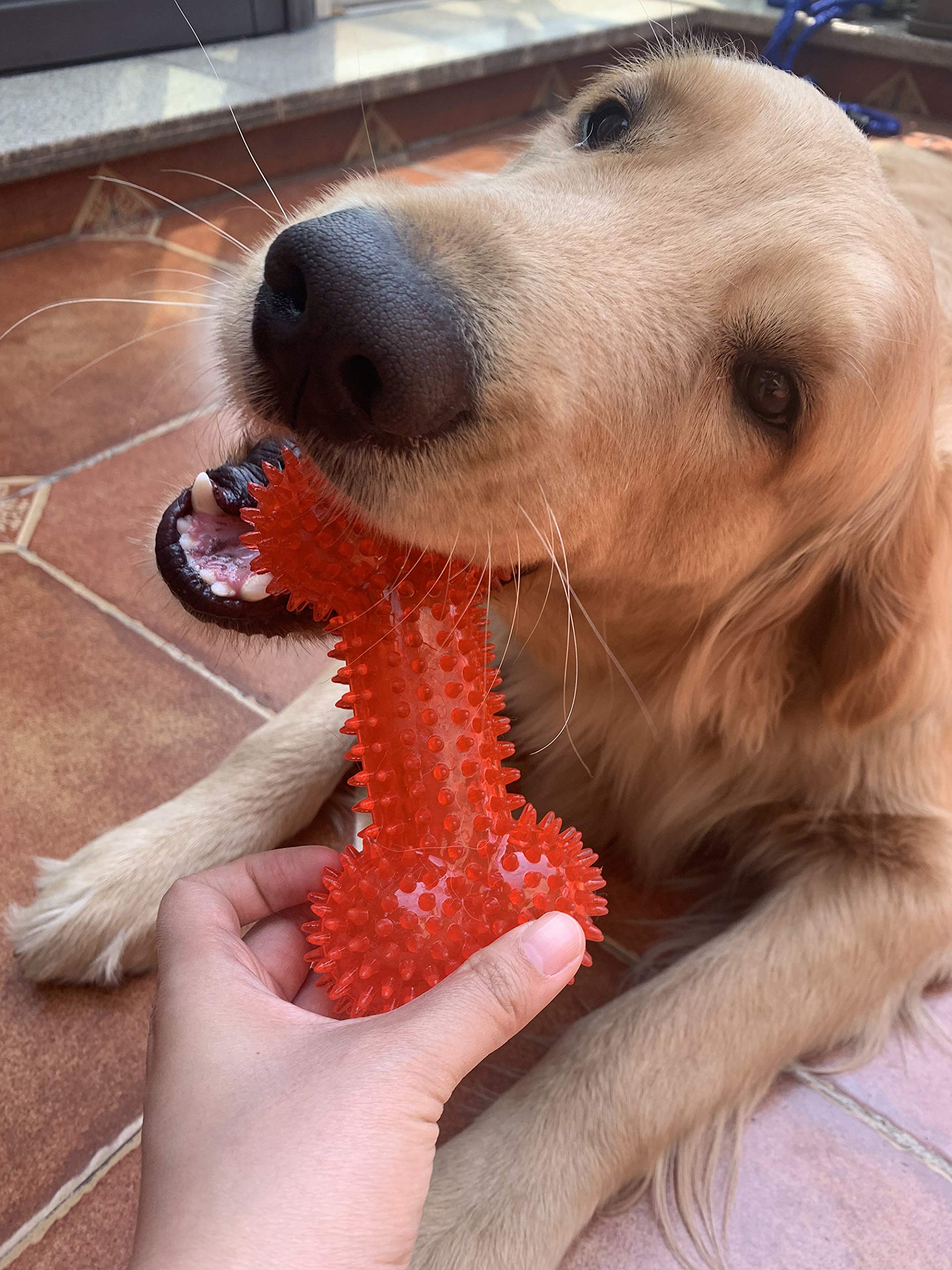 Dog Squeaky Toys Value Set Non-Toxic Dog Squeaky Balls for Dogs Toss Fetch Toys for Dogs TPR Rubber Puppy Toys Spikey Dog Chew Toys for Small Medium Dogs Pet Toys for Puppy Dog Teething Toys