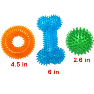 Dog Squeaky Toys Value Set Non-Toxic Dog Squeaky Balls for Dogs Toss Fetch Toys for Dogs TPR Rubber Puppy Toys Spikey Dog Chew Toys for Small Medium Dogs Pet Toys for Puppy Dog Teething Toys