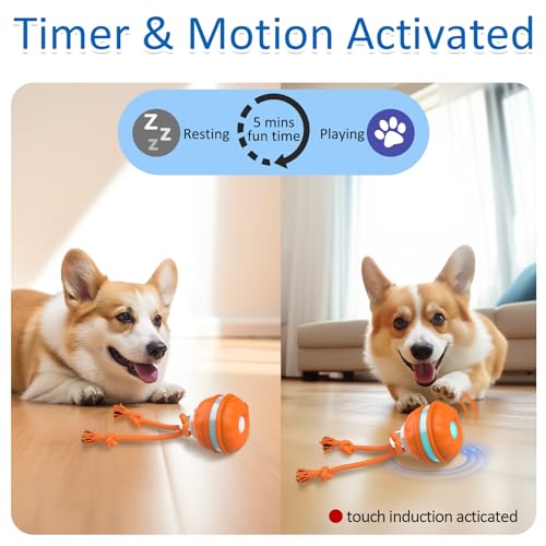 Sofolor Interactive Dog Toys, Motion Activated Dog Ball, Automatic Rolling Ball Toys for Puppy/Small Dogs