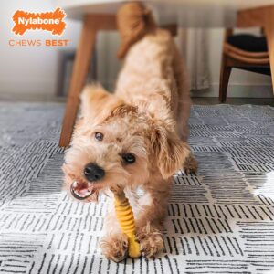 Nylabone Power Chew Flavor Frenzy Dental Bone Chew Toy for Dogs, Indestructible Chew Toys for Aggressive Chewers, Philly Cheesesteak Flavor, Small/Regular - Up to 25 Ibs. (1 Count)