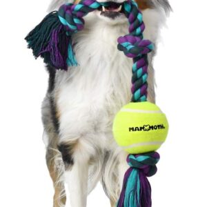 Mammoth Flossy Chews Color 3 Knot Tug w/Standard Tennis Ball – Premium Cotton-Poly Tug Toy for Dogs – Interactive– Rope Dog Toy for Medium Dogs - 20”