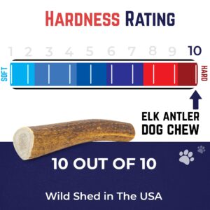 Devil Dog Pet Co. Elk Antlers for Dogs, 1 Pack, Extra Large 7”+, Grade A Long Lasting Dog Bones for Aggressive Chewers, Premium USA Naturally Shed Antler Dog Chew – Healthy, No Odor, Dog Antler Chews