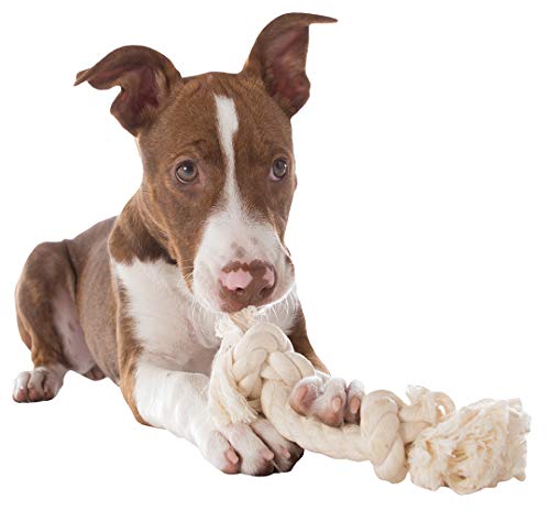 Mammoth Flossy Chews 100 Percent Natural Cotton Rope Dog Toys - Premium White Knot Dog Rope Toy - Interactive Dog Tug Toy - Tug Dog Chewy Toy for Small Dogs - Small 9"