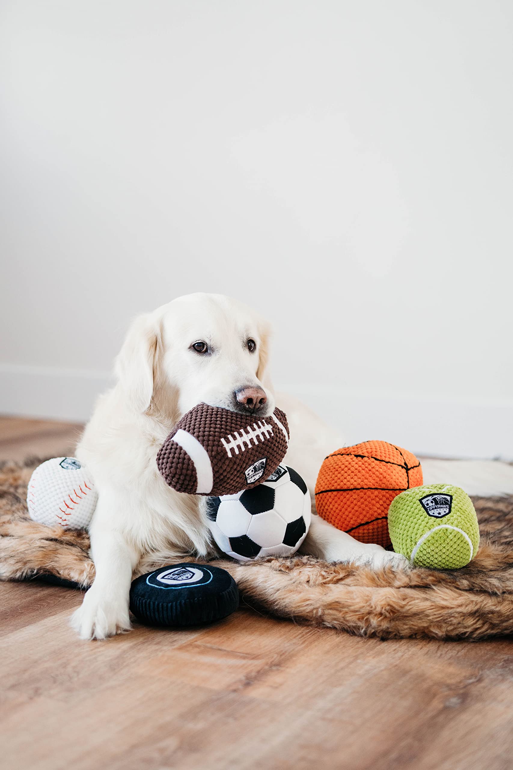 ZippyPaws SportsBallz - Plush Football Dog Toy, Soft Squeaky Balls for Dogs, Indoor & Outdoor Puppy Fetch Toys for Small, Medium, & Large Dogs, Stuffed Plushie Play Toy Balls for Puppies