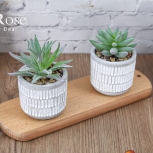 Der Rose Set of 2 Succulents Plants Artificial Fake Plants for Living Room Bathroom Bedroom Aesthetic Home Kitchen Decor