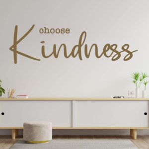 Kindness Vinyl Wall Decal - Customizable Inspirational Quote - Choose Kindness - Home Decor for Bedroom, Family Room, Classroom, or Office - Removable Sticker