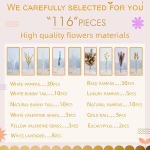 Natural Pampas Grass Mix Bouquet | Dried Pampas Bouquet for Wedding Boho Flowers Home Table Decor Desk Decor, Rustic Farmhouse (116 PCs Mix Bouquet)