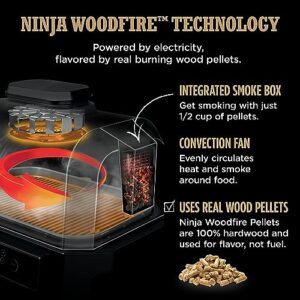 Ninja OG850 Woodfire Pro XL Outdoor Grill & Smoker with Built-In Thermometer, 4-in-1 Master Grill, BBQ Smoker, Outdoor Air Fryer, Bake, Portable, Electric, Dark Gray