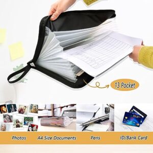 susiyo Expanding File Folder Travel Passport Visa Stamps Expanding Organizer File Folder with 13 Pocket for A4 Letter Size