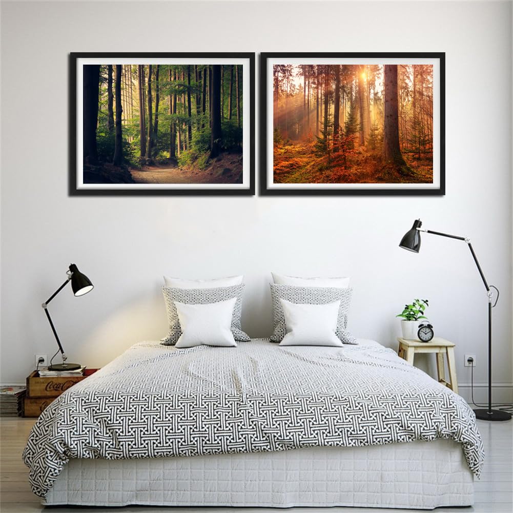 CHUNXIA Paint by Number for Adults Beginner,2 PACK Rolled Canvas Wall Art Easy Painting by Numbers Kit Forest Trees Painting Decor Packaged in a Nice Box,12x16inch(137-138)