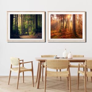 CHUNXIA Paint by Number for Adults Beginner,2 PACK Rolled Canvas Wall Art Easy Painting by Numbers Kit Forest Trees Painting Decor Packaged in a Nice Box,12x16inch(137-138)