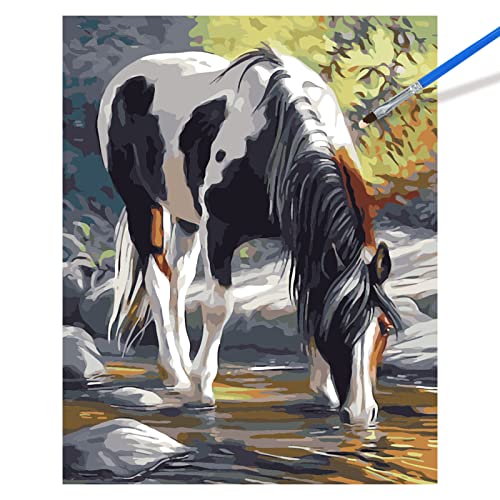 Rasugarlary Paint by Numbers for Adults Beginner, DIY Horse Paint by Numbers Kits on Canvas, Oil Painting Paintworks Acrylic Painting by Numbers Kits with for Home Decor Gift 15.7x19.6