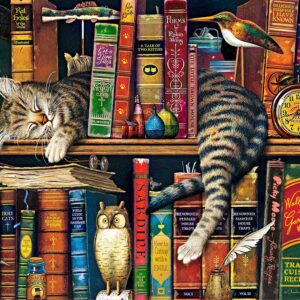 TUMOVO Paint by Numbers for Adults, DIY Oil Painting Charles Wysocki Adult Paint by Numbers Kits on Canvas Wall Decor, Frederick The Literate Painting Kits for Kids, Cats & Books - 16"x20"