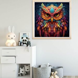 Diymood Paint by Numbers for Adults Owl, DIY Oil Painting Color Acrylic Paint by Number Kits for Kids Adults Beginner for Home Wall Decor 20x20 inch