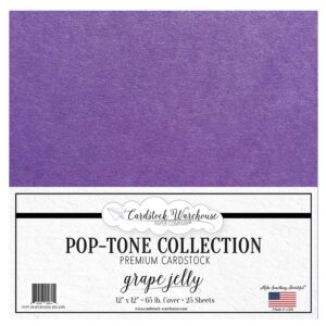 Cardstock Warehouse Pop Tone Grape Jelly Purple - 12 x 12" - 65 Lb. / 175 Gsm Matte Premium Cardstock Paper - 25 Sheets