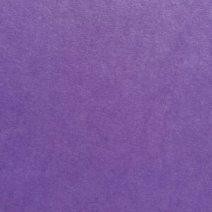 Cardstock Warehouse Pop Tone Grape Jelly Purple - 12 x 12" - 65 Lb. / 175 Gsm Matte Premium Cardstock Paper - 25 Sheets