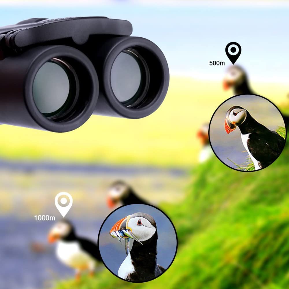 300x25 HD Powerful Binoculars 5000M Long Range Folding Mini Telescope Professional Hunting Telescope Zoom Military HD BAK4 FMC Optics for Hunting Sports Outdoor Camping Travel Outdoor Gifts