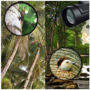 12x50 High Power BAK4 Prism FMC Lens Monocular Compact Portable Life Waterproof Monocular with Smartphone Adapter and Tripod for Adult Bird Watching, Outdoor